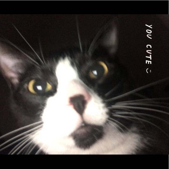 MEET YOUR POSHER - Picture 1 of 6